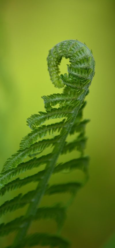 分类导航树展开界面截图，左侧为折叠的一级分类，右侧显示该分类下的条目与最后校验日期